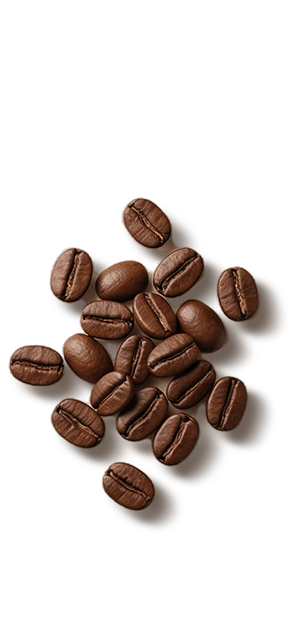 Brazilian coffee