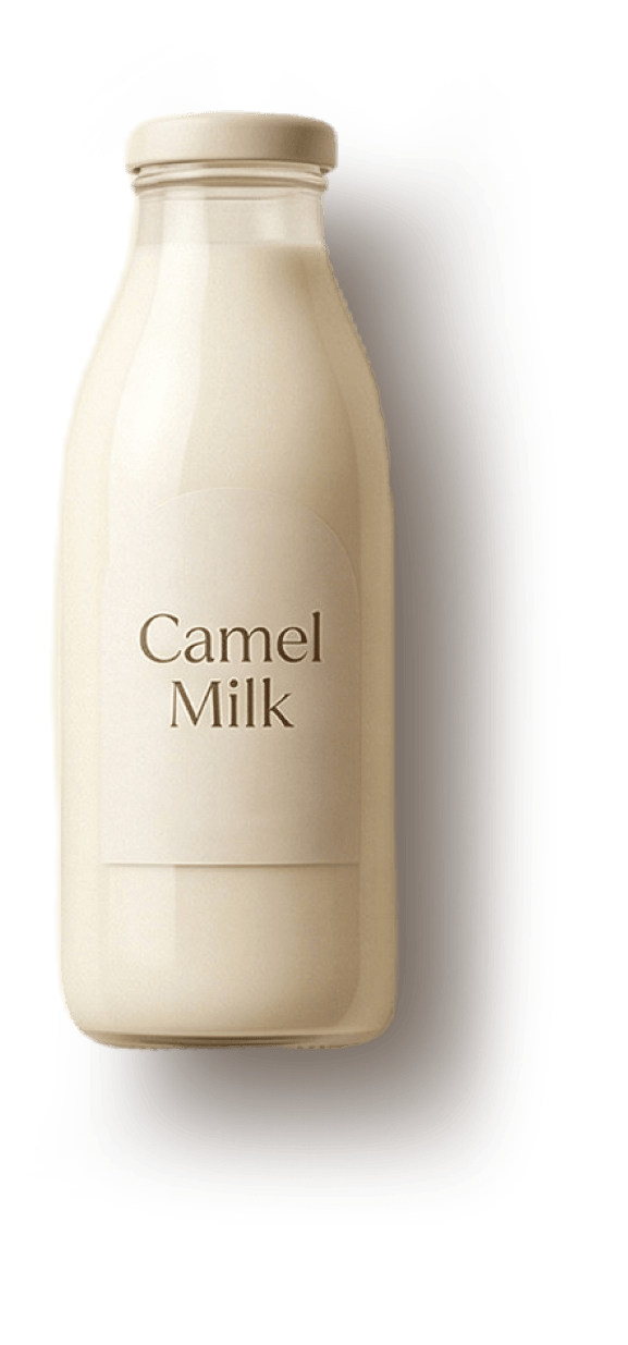 Camel milk